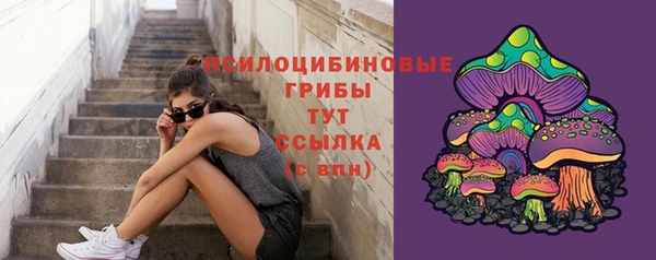 ECSTASY Бородино