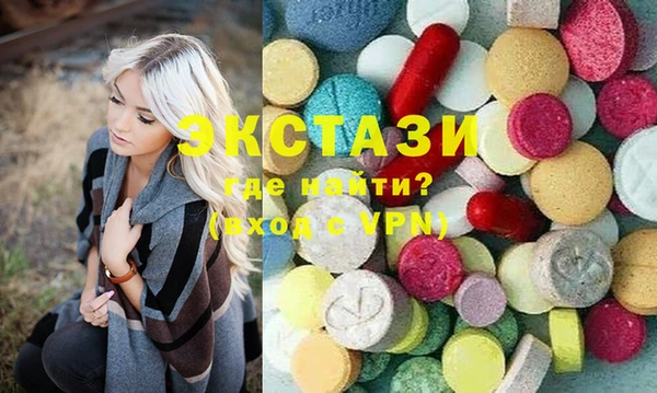 ECSTASY Бородино