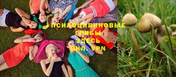 стафф Бронницы