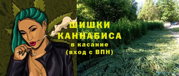 ECSTASY Бородино