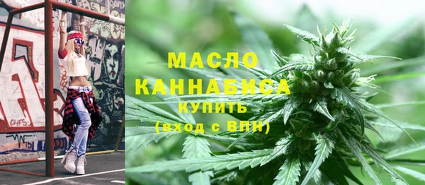 ECSTASY Бородино