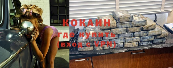 ECSTASY Бородино
