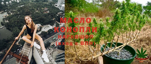 ECSTASY Бородино