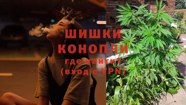 ECSTASY Бородино