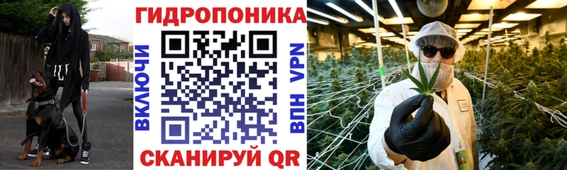 где купить наркоту  mega онион  Конопля ГИДРОПОН  Каменск-Уральский 